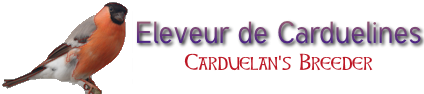 Eleveur de Carduélinés